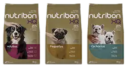 Alimento para Mascotas LÍNEA XQ